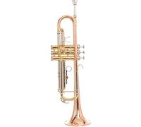Trumpets Professional Three-tone Trumpet Instrument Phosphor Bronze In B Flat For Beginners Trumpet Instrument