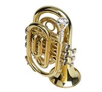 Trumpets Small Musical Instrument Palm Trumpet B Flat Pocket Trumpet Trumpet Instrument