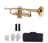 Trumpets Standard Bb Brass Trumpet Wind Instrument With Mouthpiece Carry Bag Gloves Cleaning Cloth Tuner Musical Instruments Trumpet Instrument