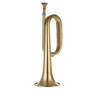 Trumpets Standard Bb Brass Trumpet With Hard Case Straps Mouthpiece Gloves Cleaning Cloth For Students Beginners Trumpet Instrument (Color : 13)