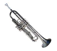 Trumpets Standard Student Trumpet Instrument Professional Performance-grade Children's Adult Pipe Band B Flat Brass Material Trumpet Instrument