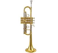 Trumpets The Treble C Brass Trumpet Is Suitable For Grade Examination/performance/wind Band Trumpet Instrument