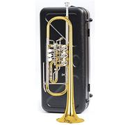 Trumpets Three-tone Trumpet Instrument, Bugle, B Flat, Suitable For Beginners, Young Pioneers, And Professional Drum Horn Team Trumpet Instrument (Color : 6)
