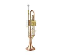 trumpets Trumpet B flat white copper phosphorus copper professional musical instrument