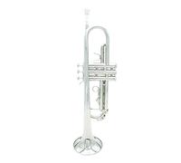 Trumpets Trumpet Bb B Flat Silver-plated Brass Exquisite With Mouthpiece Cleaning Brush Cloth Gloves Strap Trumpet Instrument (Color : Silver)