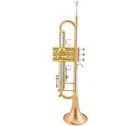 Trumpets Trumpet Phosphor Bronze Mouthpiece Cupronickel Diaphonic Tube Gold Trumpet Instrument