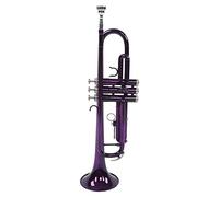 Trumpets Trumpet Set B Flat Brass Trumpet With Detachable Mouthpiece Brass Musical Instrument Accessories Trumpet Instrument (Color : Purple)
