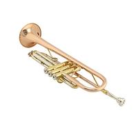 Trumpets Western Orchestral B-flat Trumpet Phosphor Bronze Trumpet Instrument