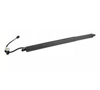Trunk Electric Struts For Hyundai For Palisade 2020-2022 81831-S8100/ 81841S8100 81841S8100 Rear Power Liftgates Lift Support(RH)