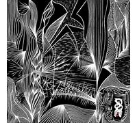 Truska ft. Hodge - Lucid [VINYL]