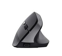 Trust Bayo II mouse Medical Right-hand RF Wireless Optical 2400 DPI