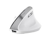 Trust Bayo II mouse Office Right-hand RF Wireless Optical 2400 DPI