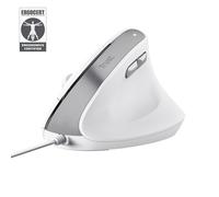 Trust Bayo II mouse Office Right-hand USB Type-A Optical 2400 DPI