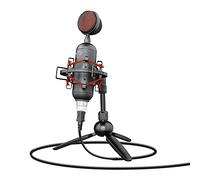 Trust GXT 244 Buzz USB Streaming Microphone, USB Microphone with Clear Audio, Background Noise Reduction, High-end Mount and Tripod Stand, Gaming