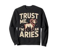 Trust Me I’m an Aries Cosmic Zodiac Sweatshirt