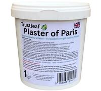 Trustleaf 1kg Tub Plaster of Paris - Fine Casting Plaster