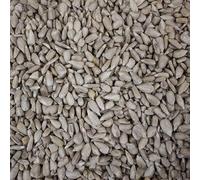 Trusty® Pet Supplies Wild Bird Sunflower Hearts 20kg