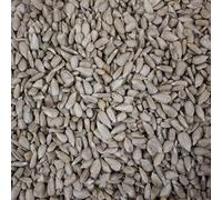 Trusty Pet Supplies Wild Bird Sunflower Hearts 2Kg