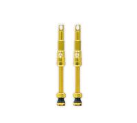 TruTension | FILLFAST Tubeless Valves | For High-Performance, Race, Road & Off-Road Bikes | High-Flow, Anti-Clog Valve | Gold - 80mm