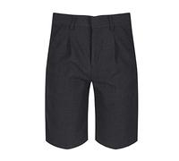 Trutex Boys Shorts Bermuda Tailored Stain Resistant Kids School Uniform (Age 9 Years, Grey)
