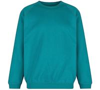 Trutex Crew Neck School Sweatshirt (1-16+ Years), Unisex Uniform Boys and Girls, Standard Fit Jumpers for Boys and Girls, Sweatshirt Kids - Genuine School Uniform Jade