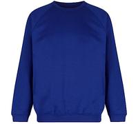 Trutex Kids Cobalt Blue School Sweatshirt - Crew Neck Cotton-Rich Standard Fit School Uniform Jumper for Boys and Girls - Ages 2-3