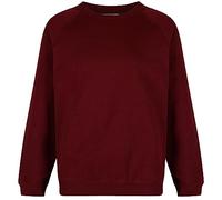 Trutex Kids Maroon School Sweatshirt - Crew Neck Cotton-Rich Standard Fit School Uniform Jumper for Boys and Girls - Ages 15-16