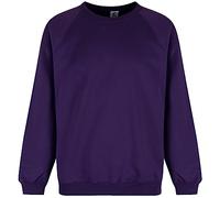 Trutex Kids Purple School Sweatshirt - Crew Neck Cotton-Rich Standard Fit School Uniform Jumper for Boys and Girls - Ages 9-10