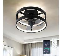 TRUYOK LED Ceiling Fan with Light 33 cm Dimmable Ceiling Fan with Remote Control and APP Ceiling Silent Ceiling Fans with Lighting for Bedroom, Living Room, Kitchen, Bedroom