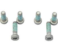 TRW Brake Disc Bolt Set For BMW F 650 CS 2002-2005 Silver/Stainless Steel