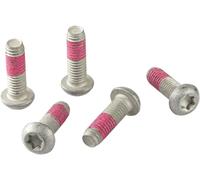 TRW Brake Disc Bolt Set For BMW F 800S 2006-2007