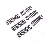 TRW Clutch Springs MEF313-6 Heavy Duty Reinforced Steel for BMW F 700 GS 2017