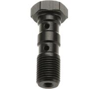 TRW DOUBLE BANJO BOLT, M10X1.25, HONDA, YAMAHA, SUZUKI, TRIUMPH MCH951S