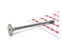 TRW Engine Component 539052 Exhaust valve