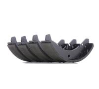 TRW GS8025 Brake Shoe Set