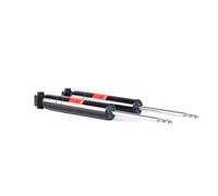 TRW JGE295T Shock absorber