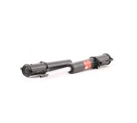 TRW JGM1004T Shock absorber