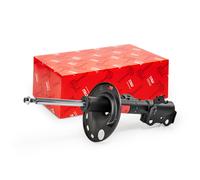 TRW JGM1059SL Shock absorber