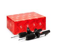 TRW JGM1068T Shock absorber