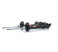 TRW JGM108T Shock absorber
