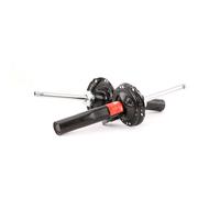 TRW JGM1114T Shock absorber