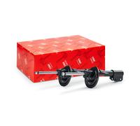 TRW JGM1154T Shock absorber