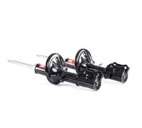 TRW JGM1191T Shock absorber