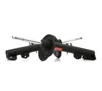 TRW JGM1245T Shock absorber