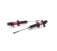 TRW JGM566T Shock absorber