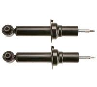 TRW JGS238T Shock absorber