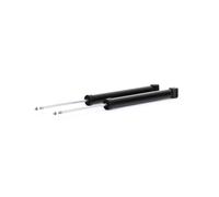 TRW JGT1078T Shock absorber
