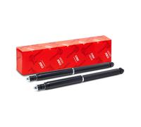 TRW JGT141T Shock absorber