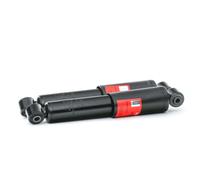 TRW JGT290T Shock absorber
