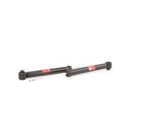 TRW JGT314T Shock absorber